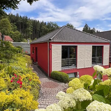 Ferienhaus Conradshoeh Mit Sauna Ilmenau Exterior photo